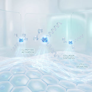 New Peptide Technology